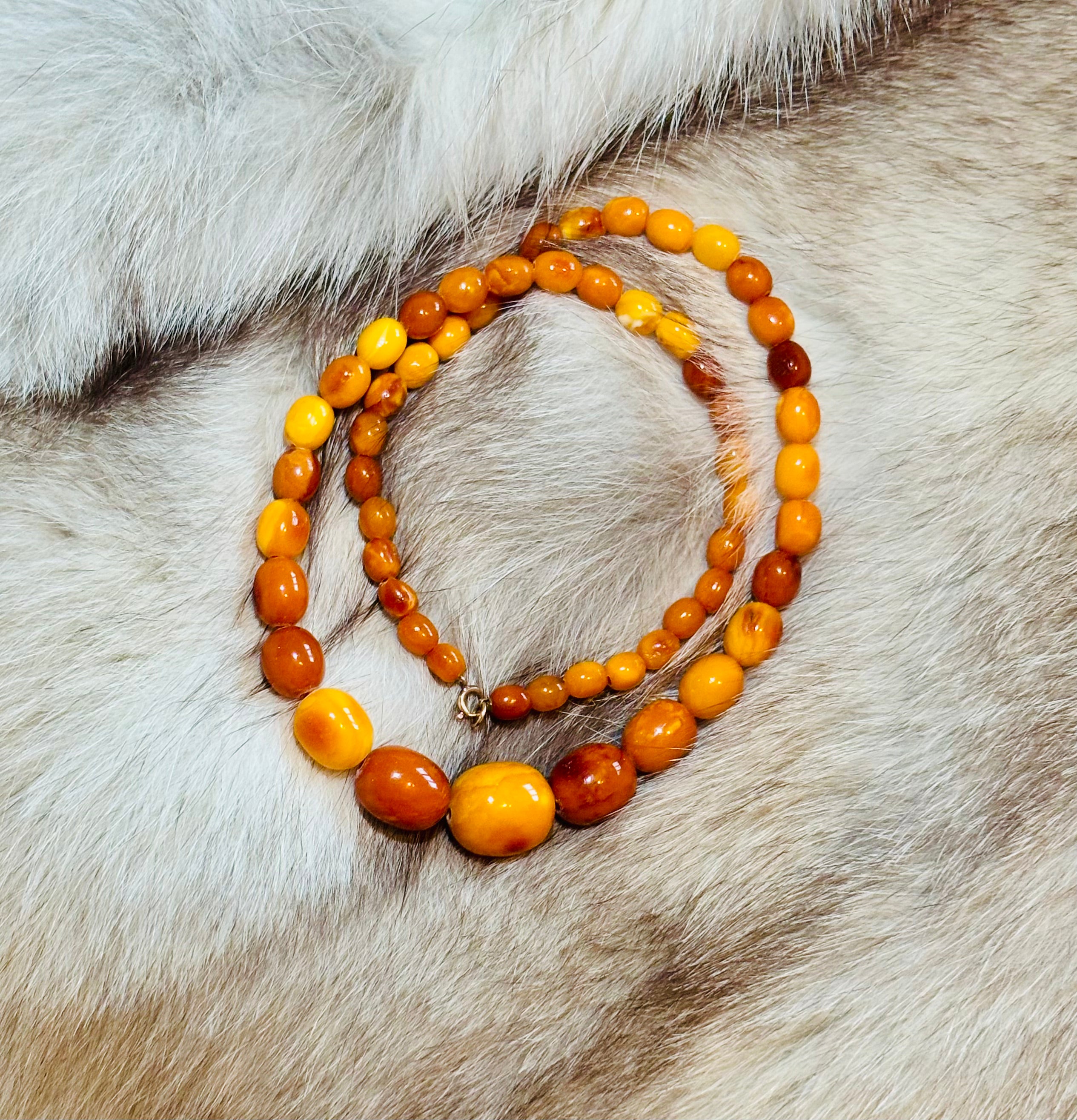 Mid-Century Butterscotch Amber Beads Necklace, 60cm, Gold Clasp