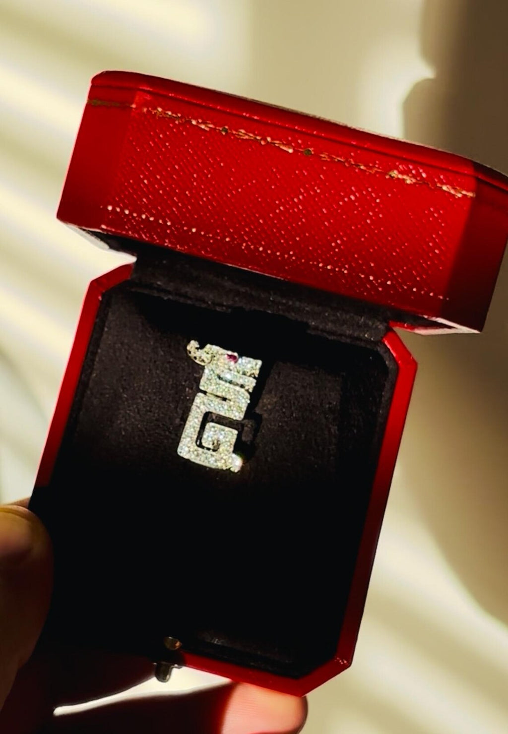 CARTIER Le BAISER Du DRAGON Pin/Clip.