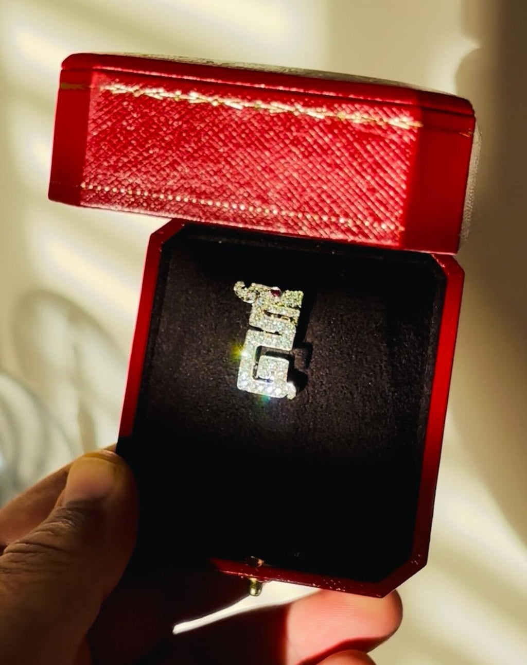 CARTIER Le BAISER Du DRAGON Pin/Clip.