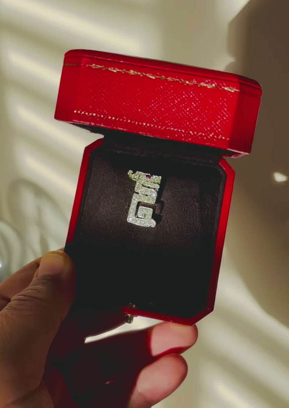 CARTIER Le BAISER Du DRAGON Pin/Clip.